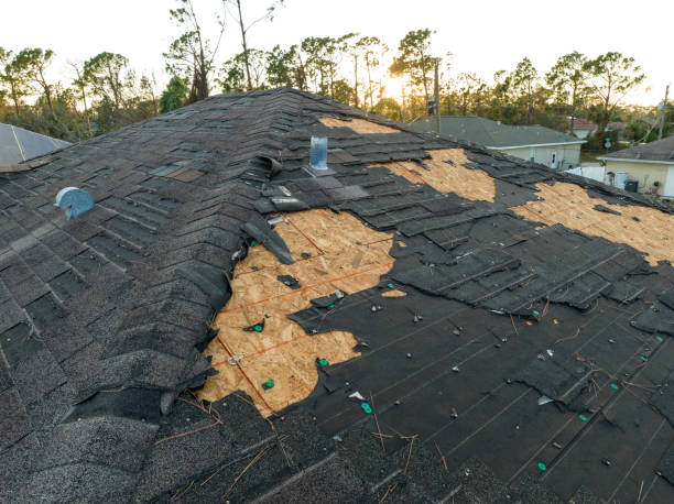 Best Roof Insulation Installation  in Kenmore, NY